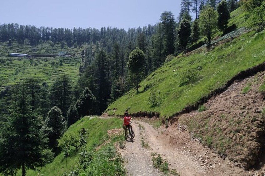 Full-Day Private Biking Trip to Shimla Mountain with Lunch