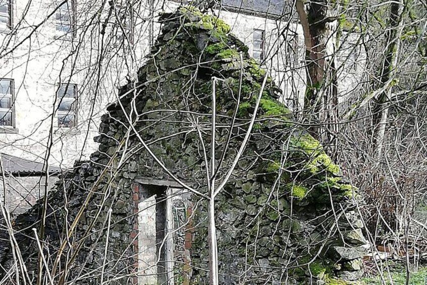 Show item 5 of 6. Wirksworth Walk with Trains, Quarries and Summer Flowers; history and nature