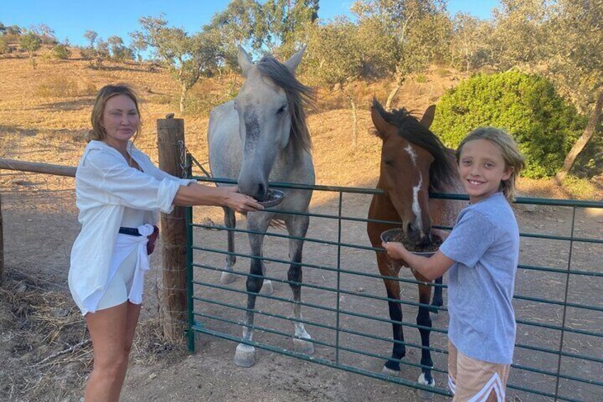 Meet and feed our horses