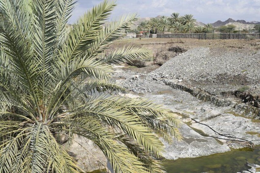 Mountain Safari Tour to Jabel Jais - Ras al Khaimah