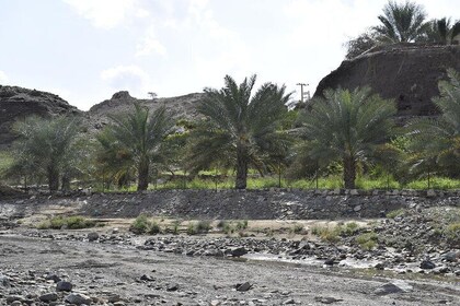 Mountain Safari Tour to Jabel Jais - Ras al Khaimah