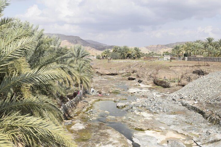 Mountain Safari Tour to Jabel Jais - Ras al Khaimah