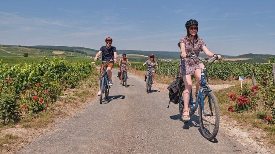 E-Bike Burgundy Tour with Tastings and Lunch from Beaune or Dijon