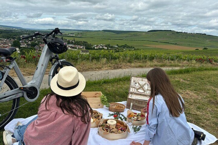 E-Bike Burgundy Tour with Tastings and Lunch from Beaune or Dijon