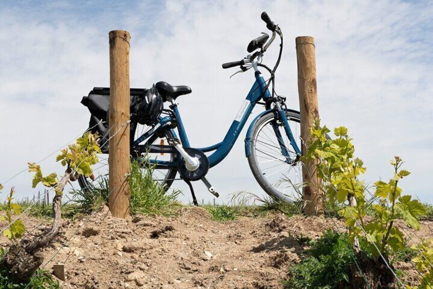 Ebike Burgundy day tour wine tasting & lunch from Beaune or Dijon