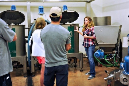 Texas Hill Country Olive Mill Tour & Extra Virgin 101