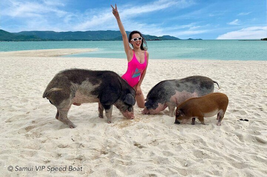 Pigs Island