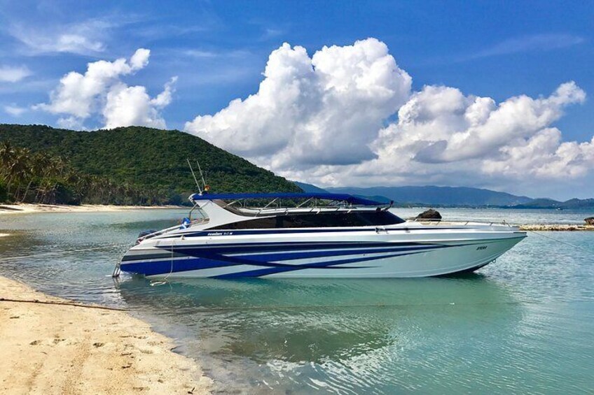 The Speed Boat