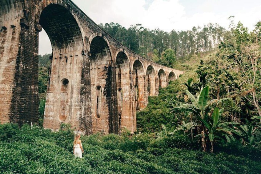 Sri Lanka Most Popular - 12 Days.