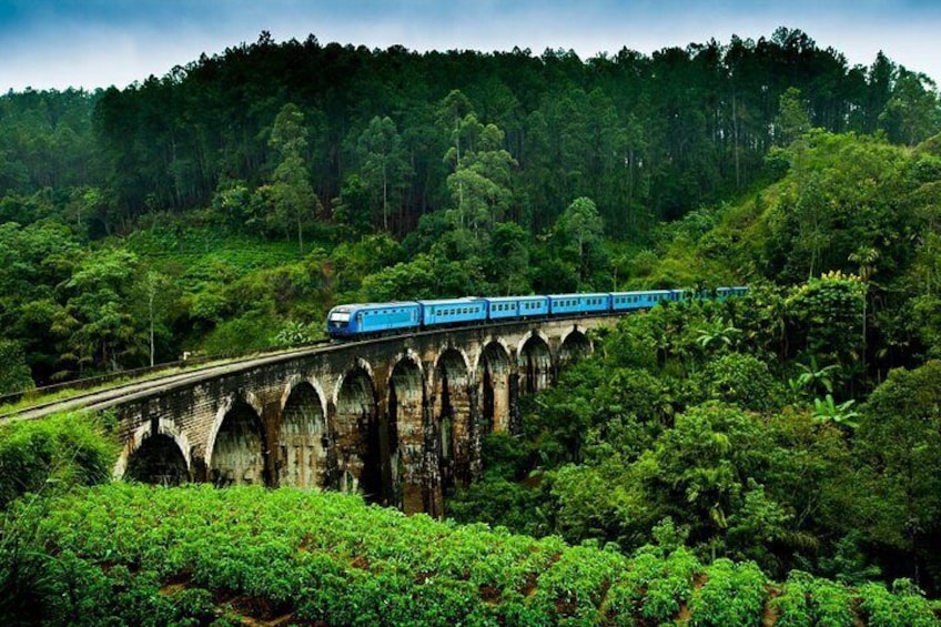 Sri Lanka Most Popular - 12 Days.