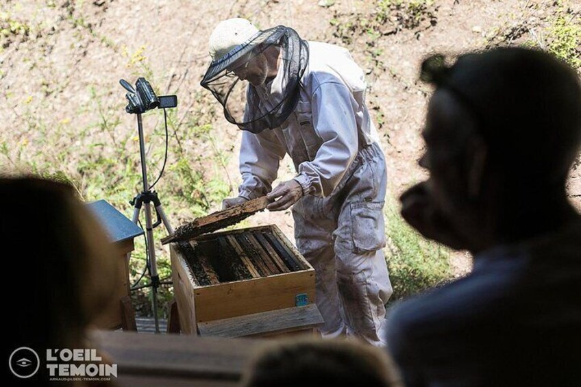 At the heart of the visit: the opening of a beehive LIVE and in complete safety