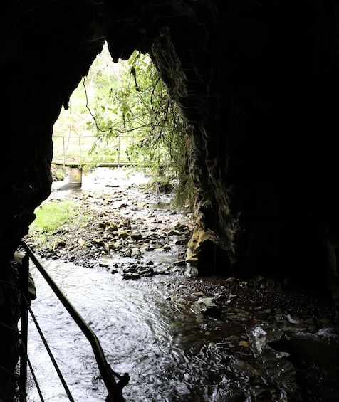 Hobbiton and Glowworm Cave