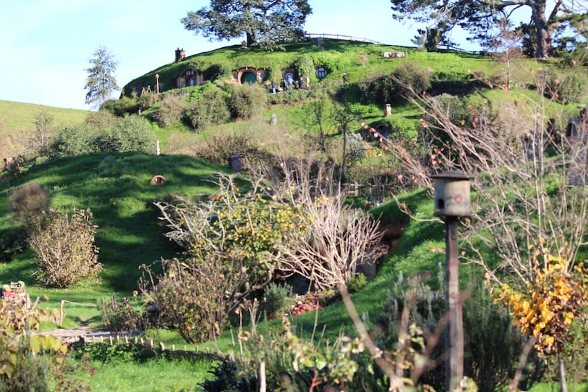 Show item 3 of 3. Hobbiton and Glowworm Cave
