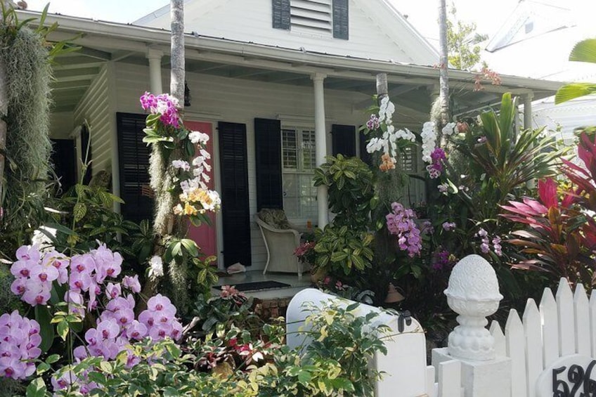 Orchids & Key West Architecture in Old Town