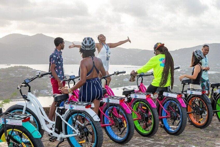Historic City and Beach E-Bike Tour
