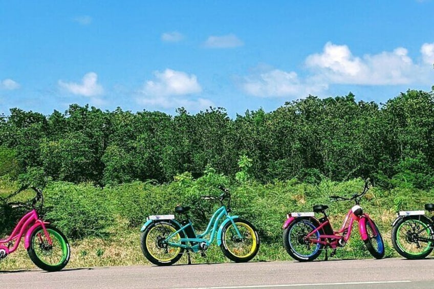 Historic City and Beach E-Bike Tour