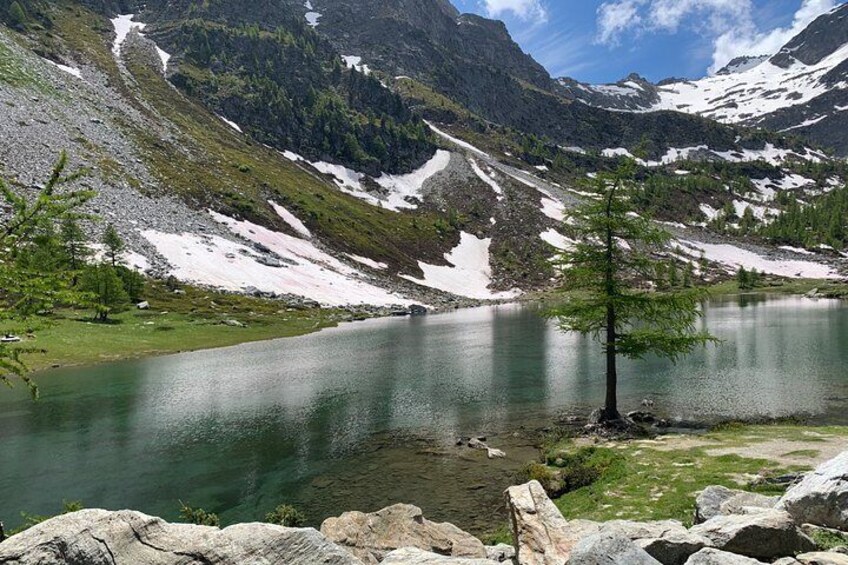 Surrounded by nature