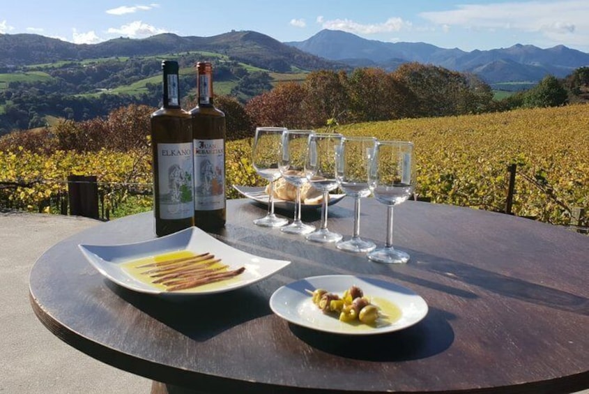 Private Getaria Txakoli Wine Tour from San Sebastian