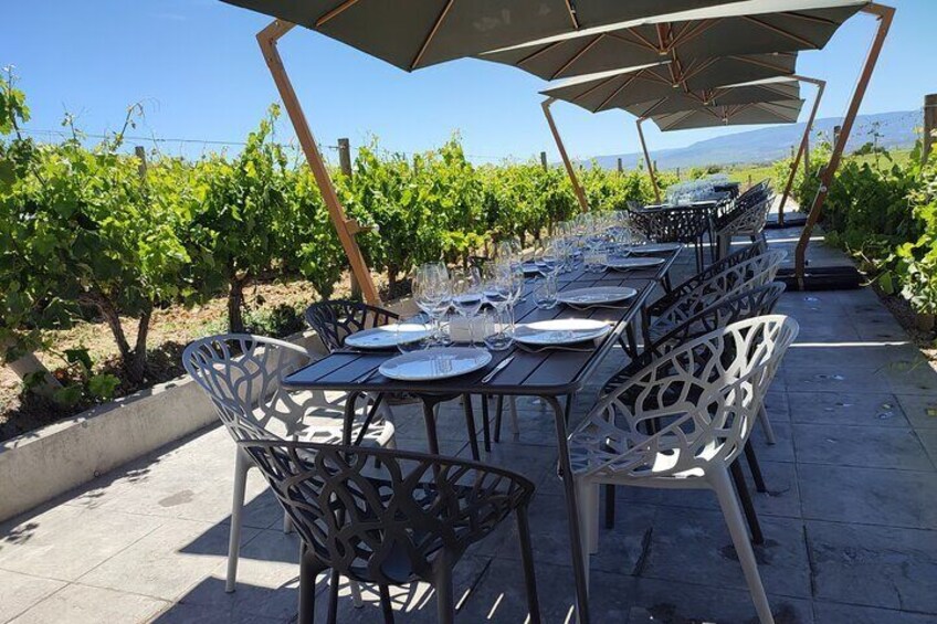 Private tour of la rioja best wineries 