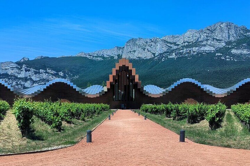 The authentic Rioja Alavesa wine experiences 