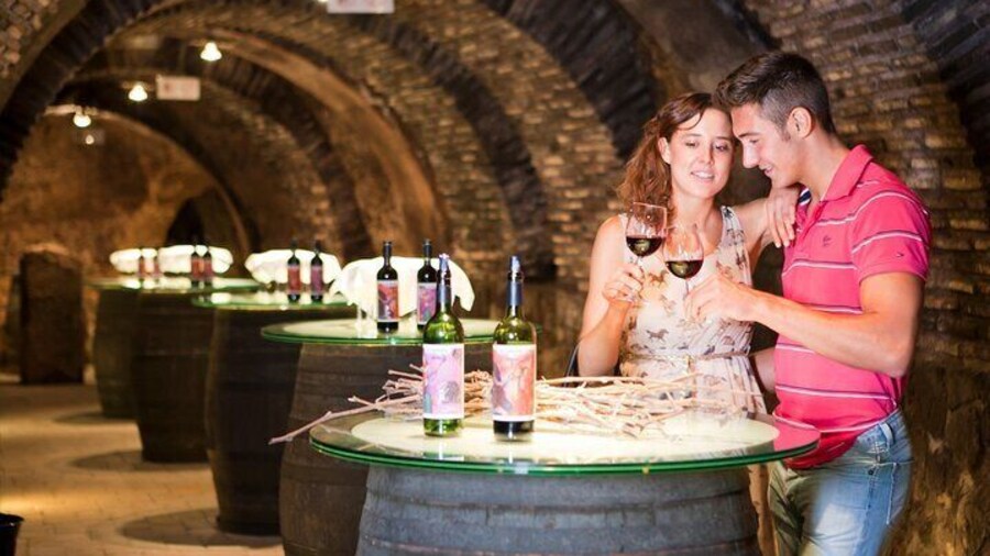 Private tour of la rioja best wineries