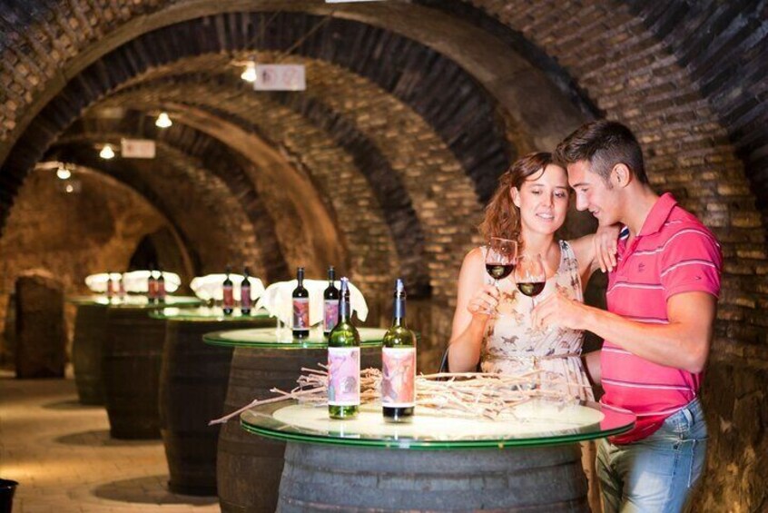 Private tour of la rioja best wineries 