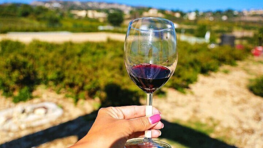 Local Wineries Tour with Wine Testing from Paphos