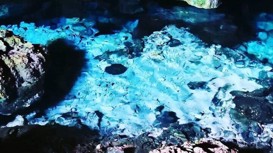 Kuza Cave Tour, The Rock Restaurant, Jozani Forest Tour, Prison Island Tour, Secret Garden Restaurant