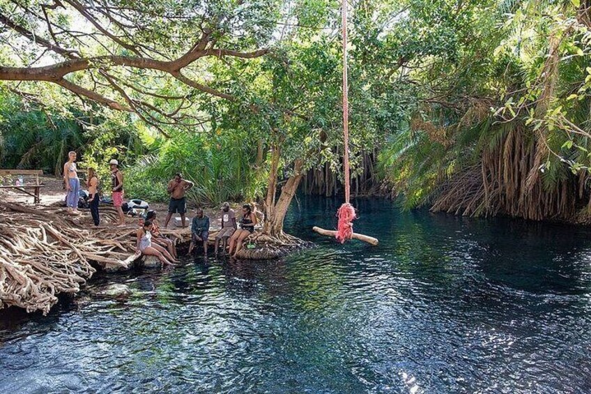 A swiming hole with a rope swing in the foreground