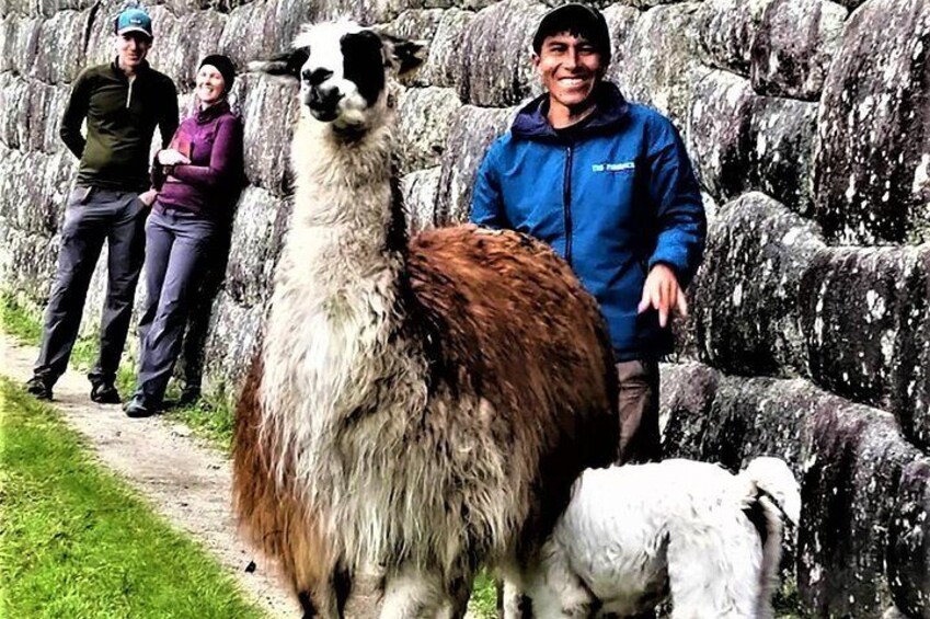 Private Guide for Machu Picchu - 3 hours