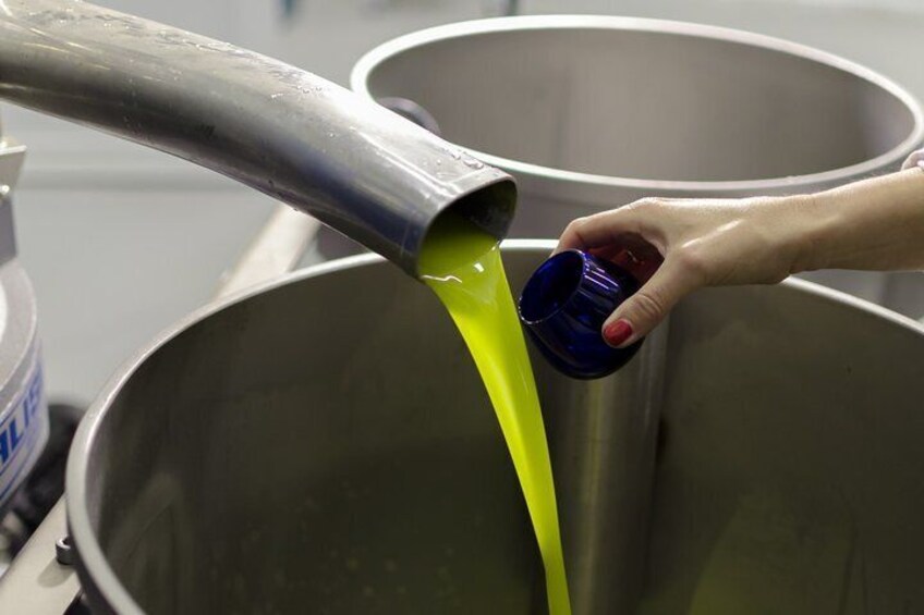 Visit to the oil mill with EVOO experiences in Cuenca