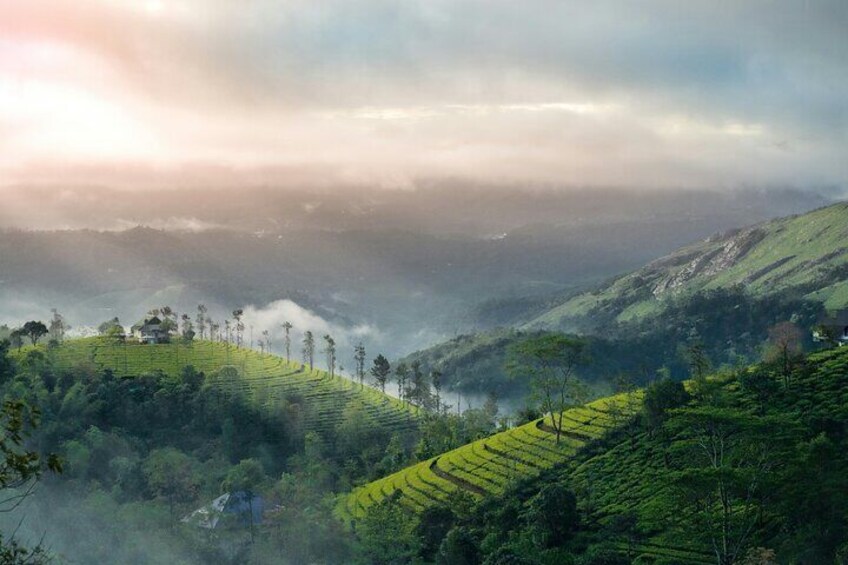 Blissful Kerala