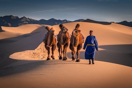 Great Gobi Desert and Ancient Mongolia 12 days
