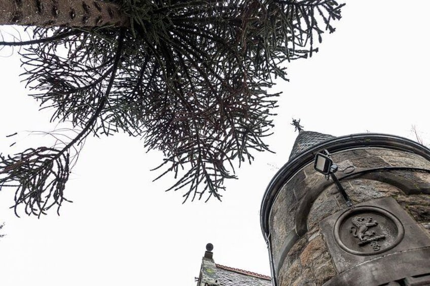 Best Scottish Distilleries Whisky Private Day Trip plus optional Castle Tour