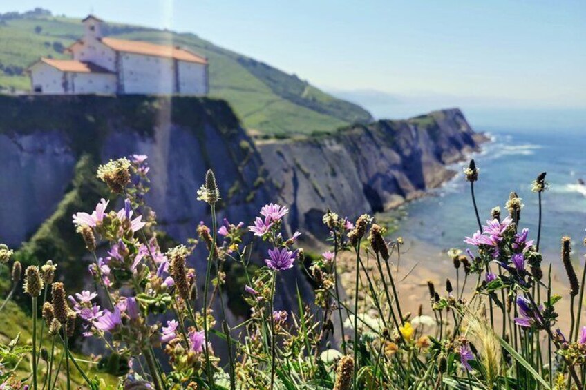 TXAKOLI VINEYARDS, ZUMAIA and GETARIA - Private Outdoor & Gastronomic Adventure