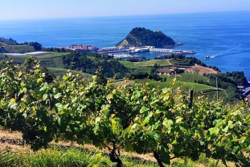 TXAKOLI VINEYARDS, ZUMAIA and GETARIA - Private Outdoor & Gastronomic Adventure