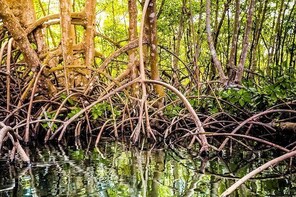 Private Tour - The South Grande-Terre Guadeloupe