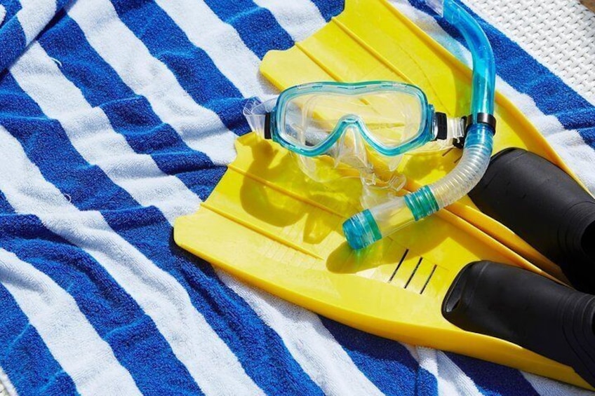 Snorkel Cat Adventure