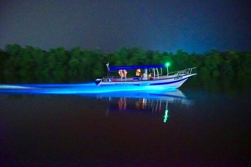 Kuala Selangor Tour with Fireflies and Blue Tears (SIC)