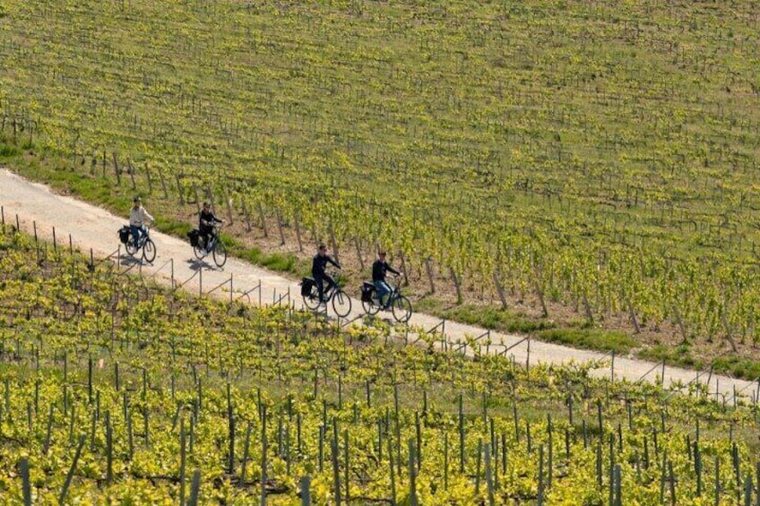 From Reims afternoon e-bike tour, visit and champagne tastings