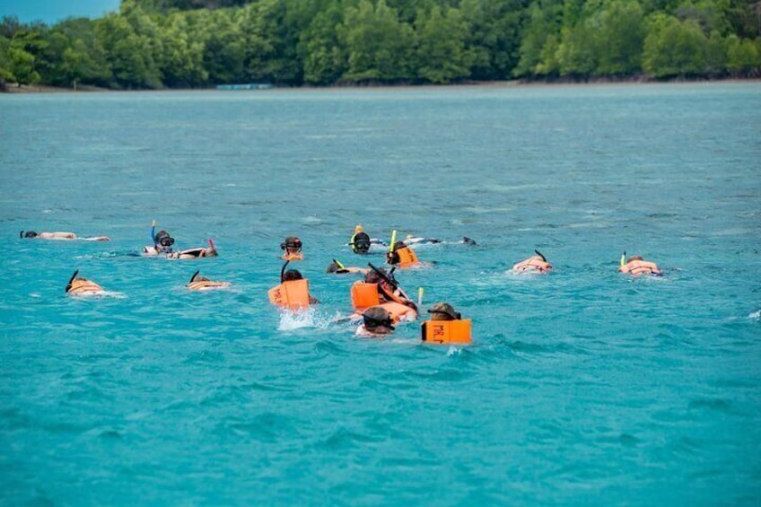 Pink Dolphin Spotting & Pig Island Speedboat Tour From Koh Samui