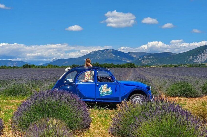 The lavender road in 2cv