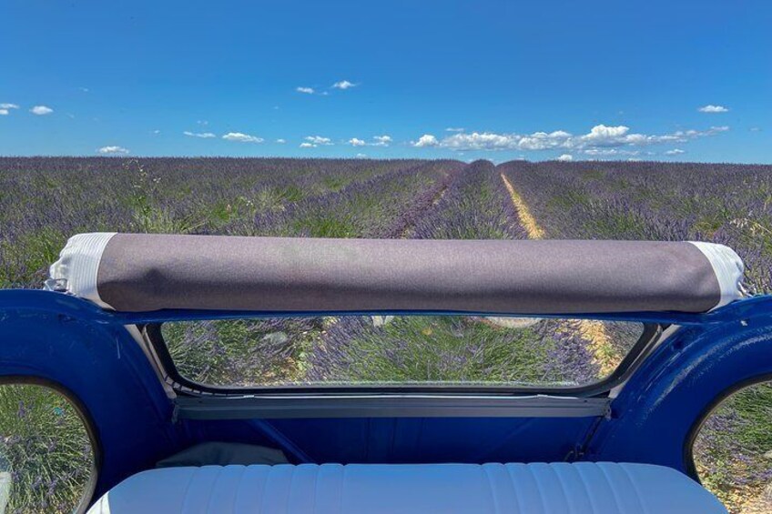 The lavender road in 2cv