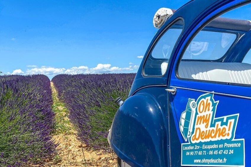 The lavender road in 2cv