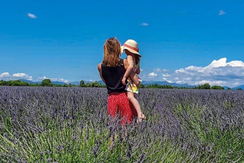 The lavender road in 2cv