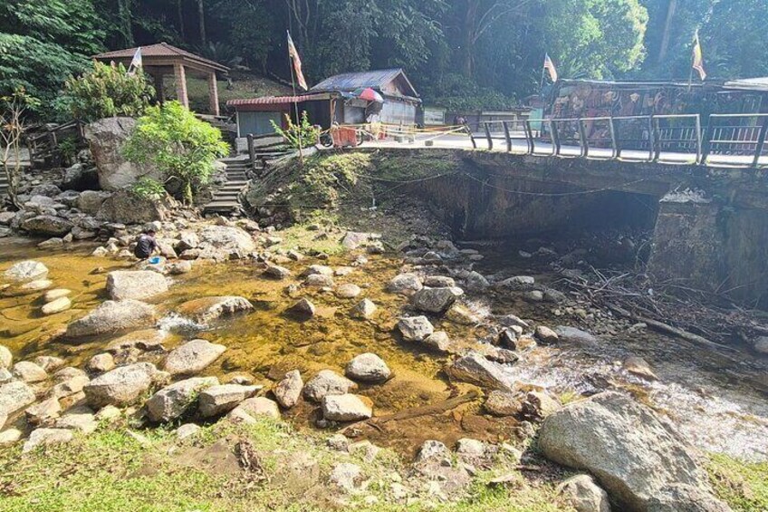 Cameron Highlands Day Tour from Kuala Lumpur with Lunch (SIC - Shared Tours)