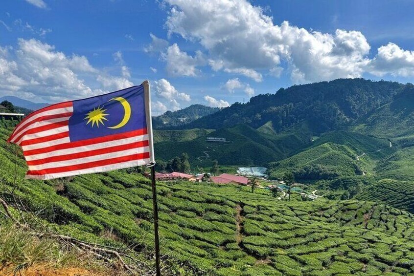 Cameron Highlands Day Tour from Kuala Lumpur with Lunch (SIC - Shared Tours)