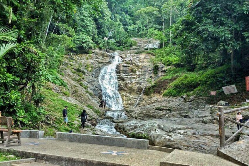 Cameron Highlands Day Tour from Kuala Lumpur with Lunch