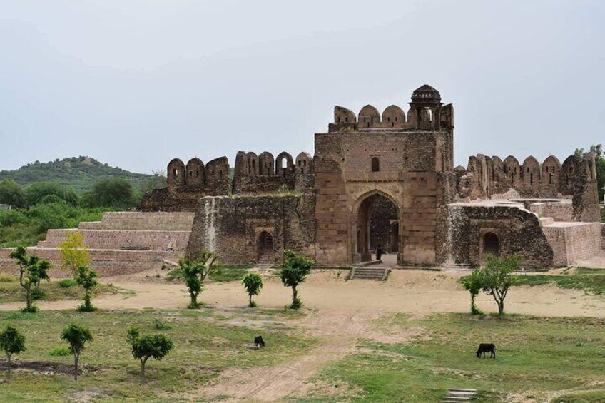 From Islamabad: Full Day Rohtas Fort Guided Trip