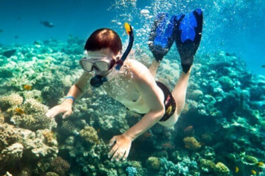 Punta Cana Speed Boat Tour and Snorkeling